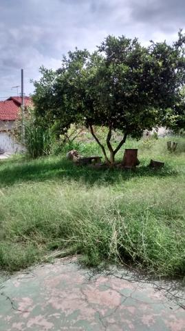 Excelente lote no Caiçara - Foto 3