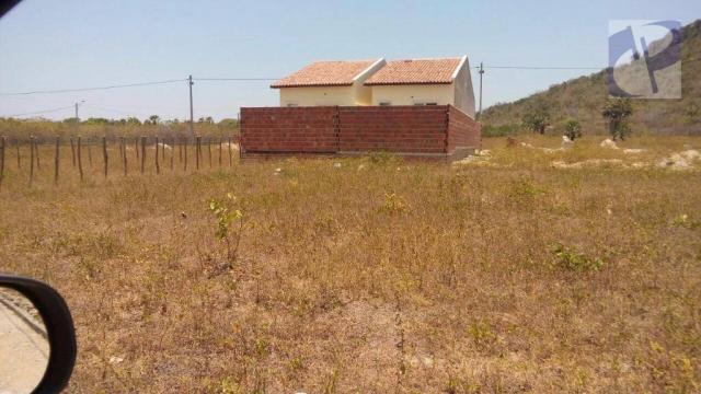 Terreno rural à venda, Barrocão, Itaitinga. - Foto 3