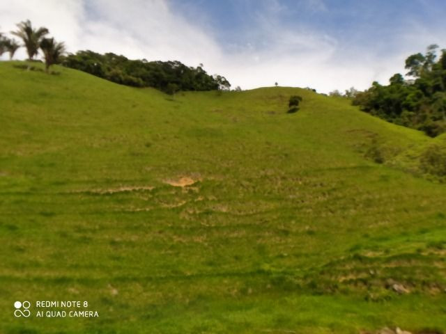Vendo Fazenda com 27,5 Hectares em Rio Calçado - Guarapari - Foto 6