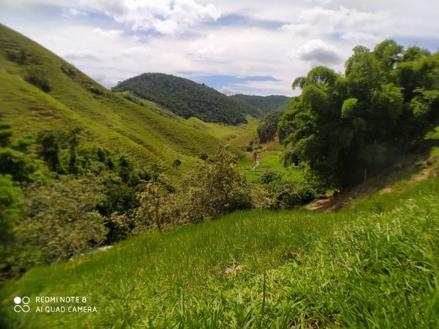 Vendo Fazenda com 27,5 Hectares em Rio Calçado - Guarapari - Foto 15