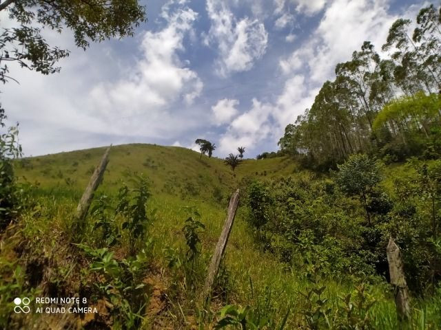 Vendo Fazenda em Rio da Prata - Distrito de Guarapari - Foto 19