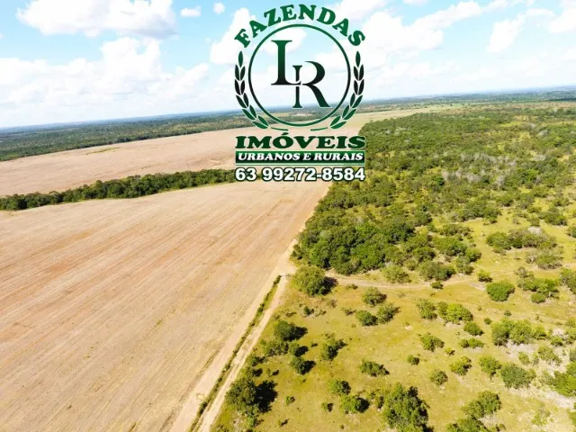 Fazenda 100 Alqueires vale do Araguaia