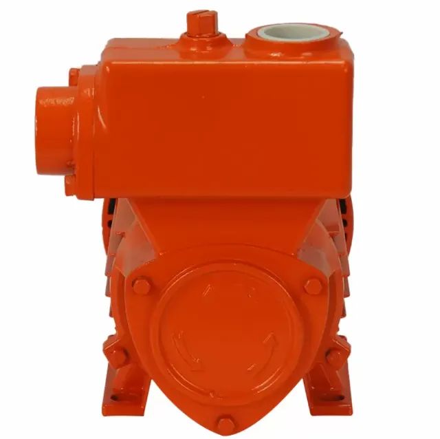 Bomba D água Periférica 1,0cv 110v-220v Bpa1000 Intech Machine - Foto 2