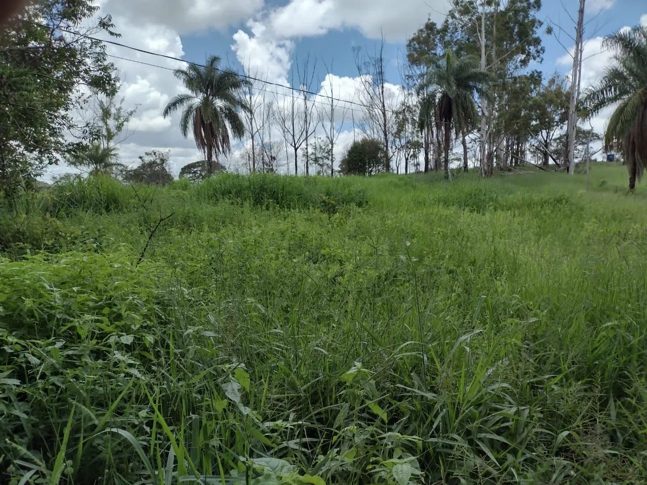 foto - Brasília - Asa Norte