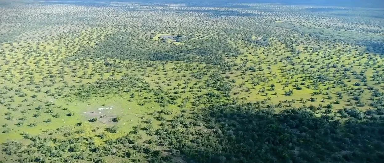Fazenda na região de Cocalinho-MT - Foto 5