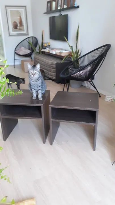 Mesinhas de cabeceira 40x45cm. - Foto 2