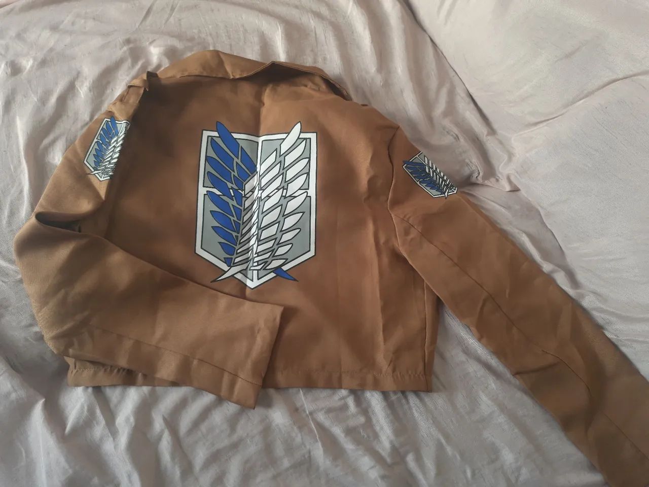 Jaqueta Attack on titan - Roupas - Caminho Novo, Palhoça 1324005364 | OLX