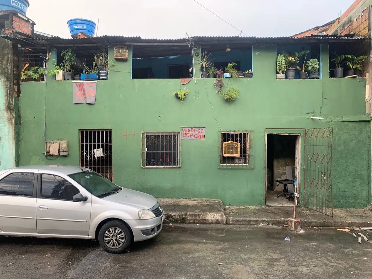 Foto - Salvador - Periperi