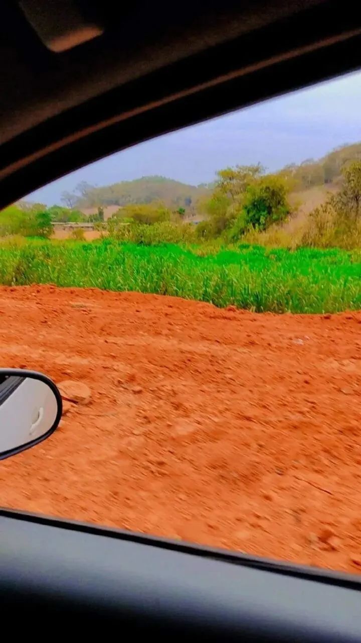 Fazenda São Vicente Urucânia MG - Foto 2