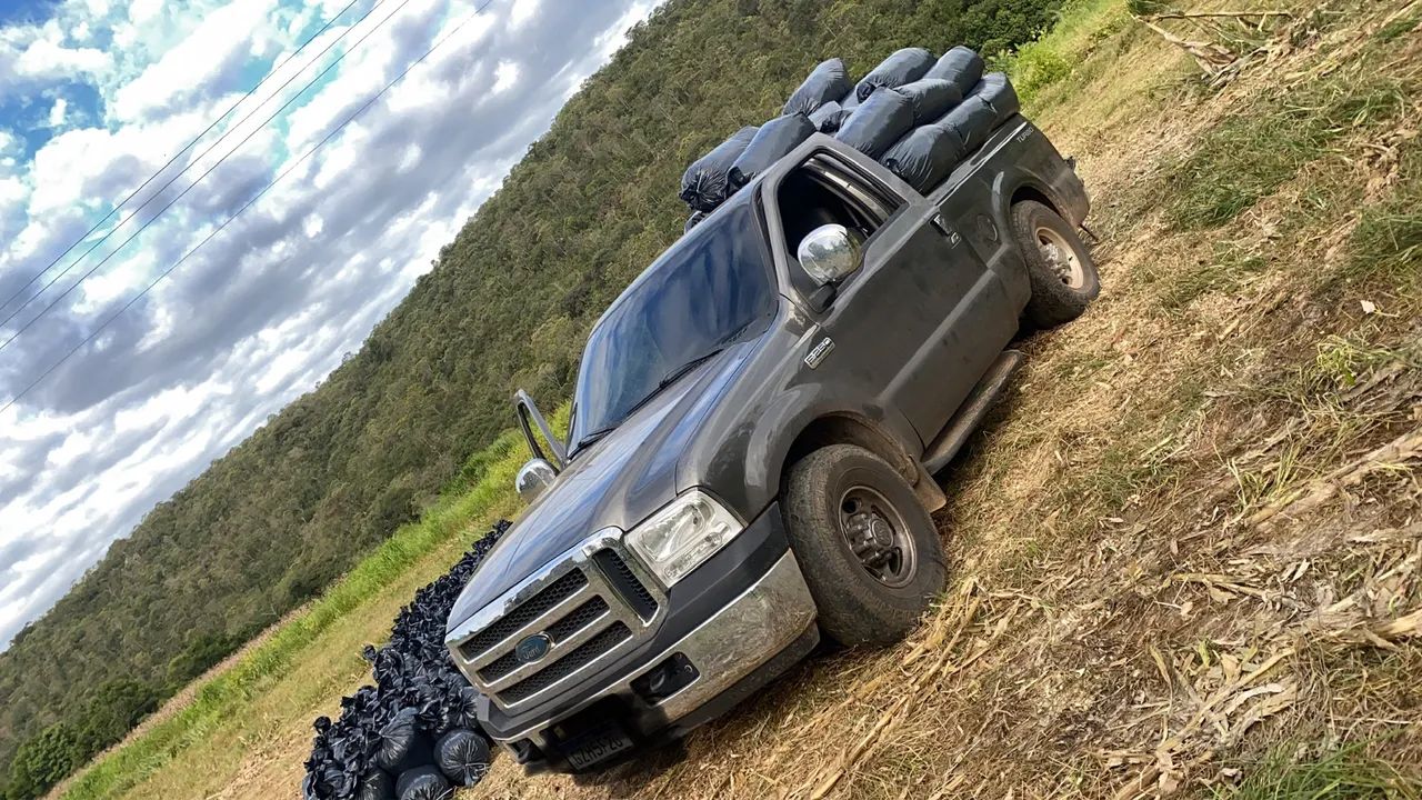 Silo ensacado a pronta entrega  - Foto 2