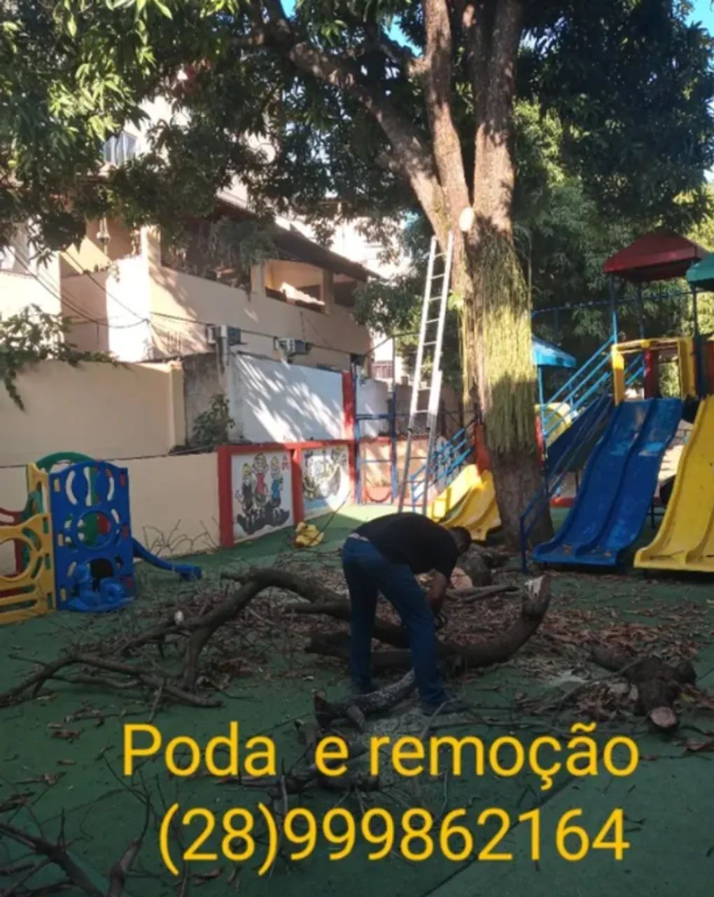 Póda de arvore e remoção - Foto 2