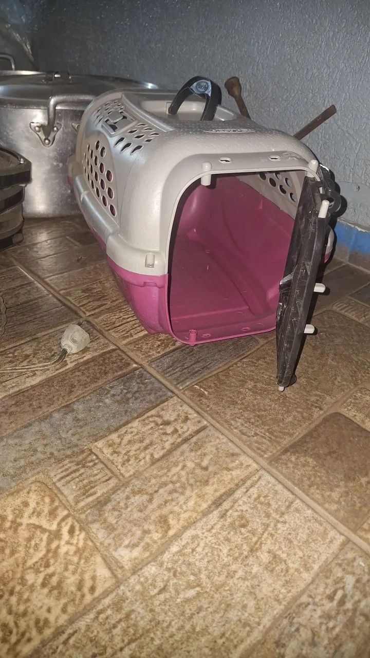 Caixa transportadora 