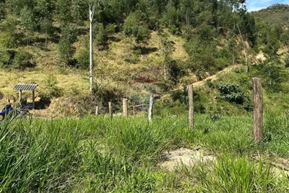 Fazenda em Braçanã para quem procura um excelente investimento ou tranquilidade. - Foto 5