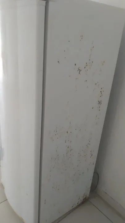 Geladeira Consul 300L - CRB36AB - Foto 4