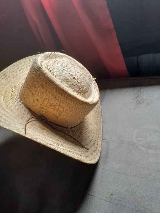 Chapéu de Palha Novo - Foto 3
