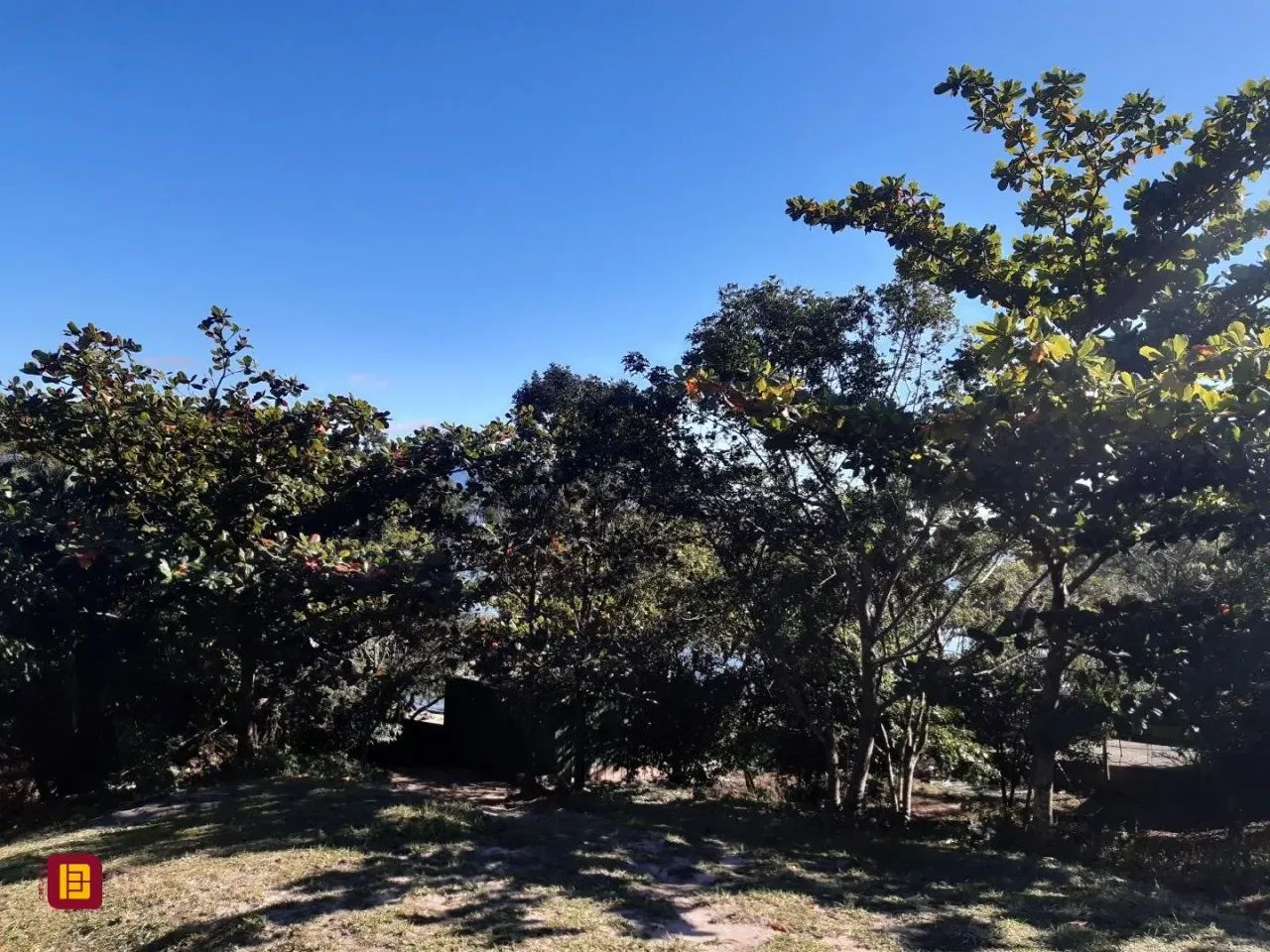Terrenos Residenciais em Ribeirão da Ilha - Foto 3