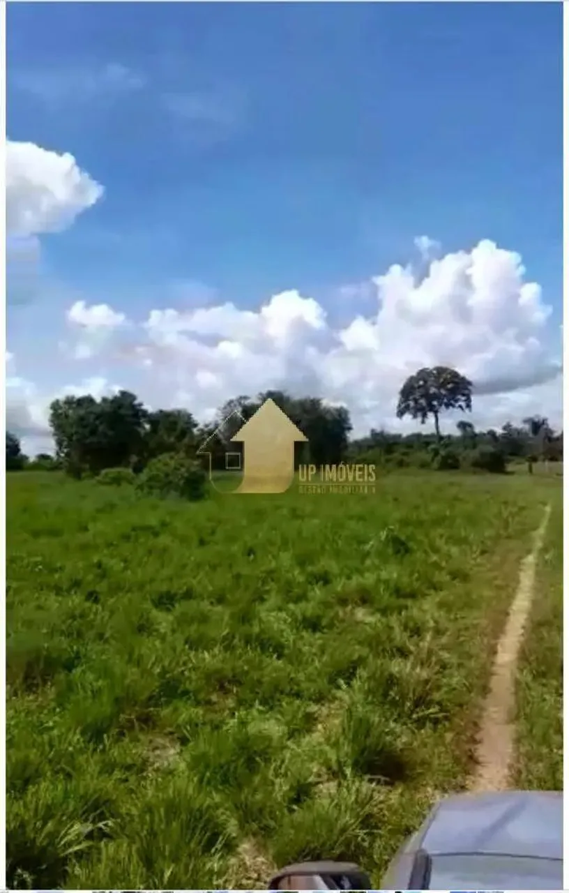 Fazenda em Brasnorte 375 Ha
