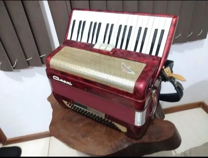 Vendo Acordeon Capri