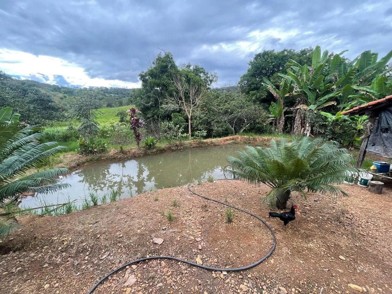 Fazenda em caldazinha  - Foto 2