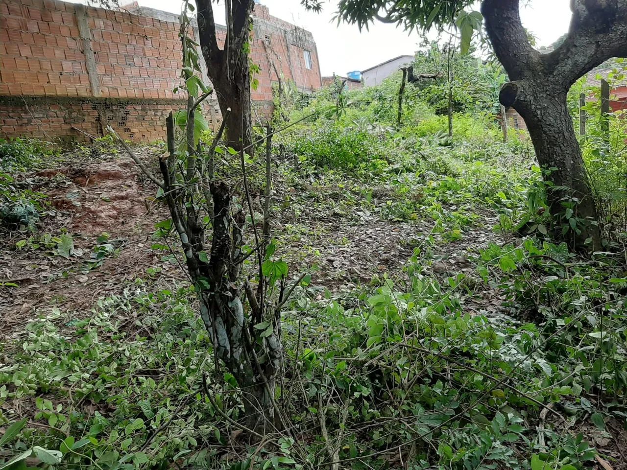 Terreno  Santa Mônica(aceito valor parcelado +entrada)) - Foto 3