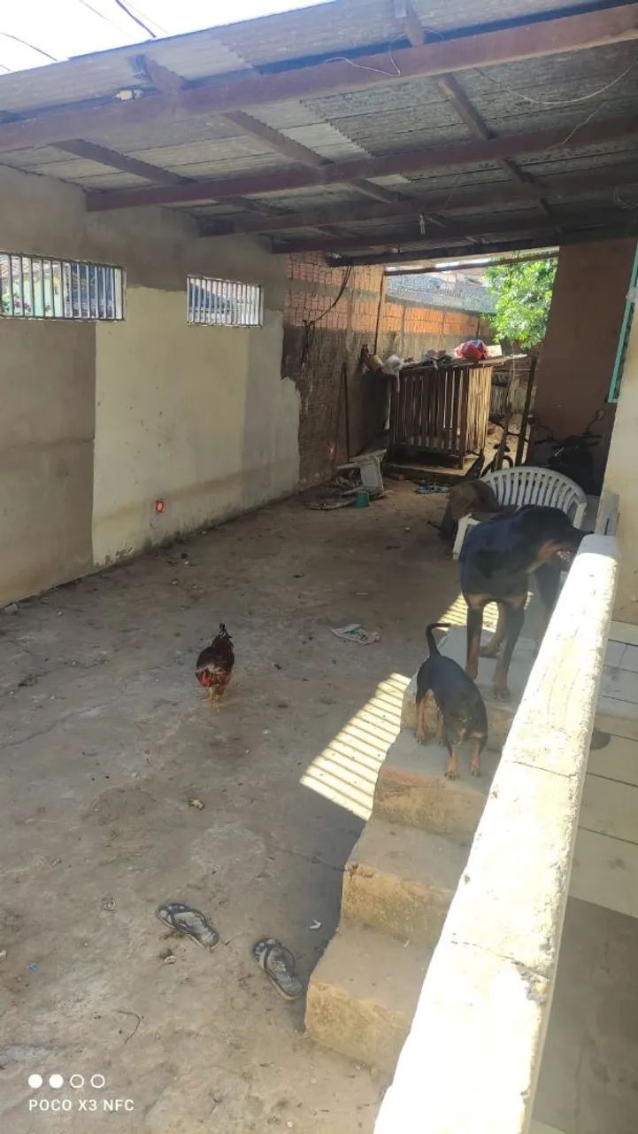 Casa a Venda Pode ser Financiada - Foto 4