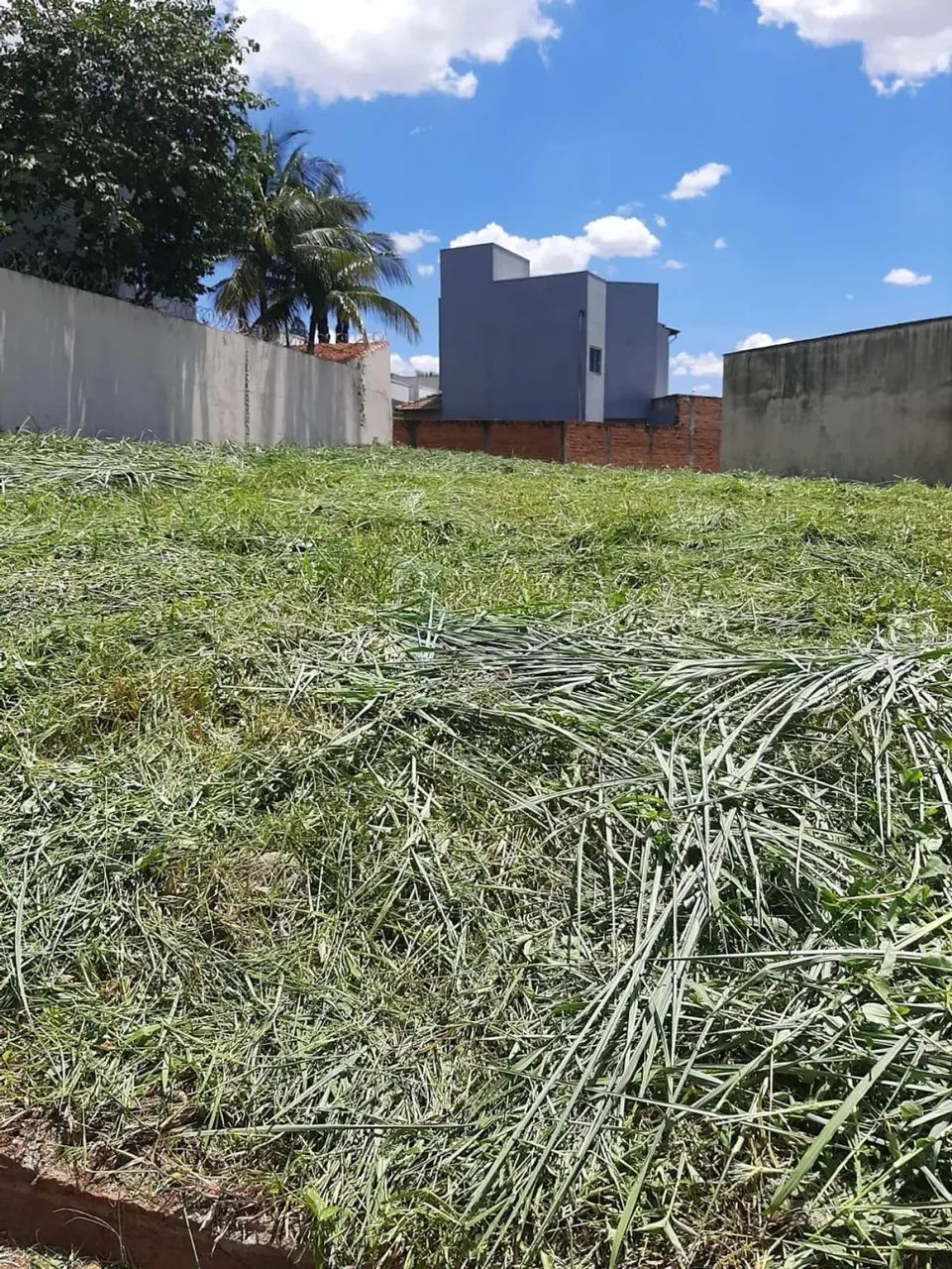 Terreno de 515m² para venda - City Ribeirão - Foto 3