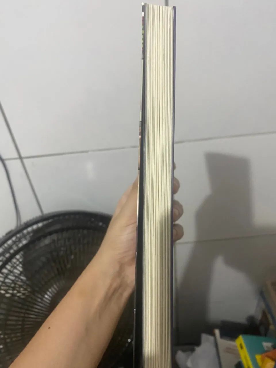 Guia Prático da Economia Brasileira - Foto 2