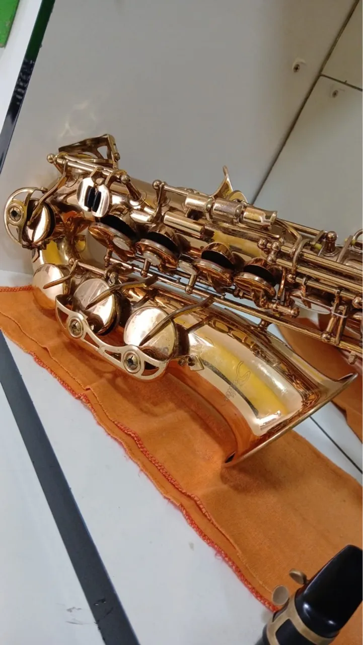 Saxofone Alto Shelter