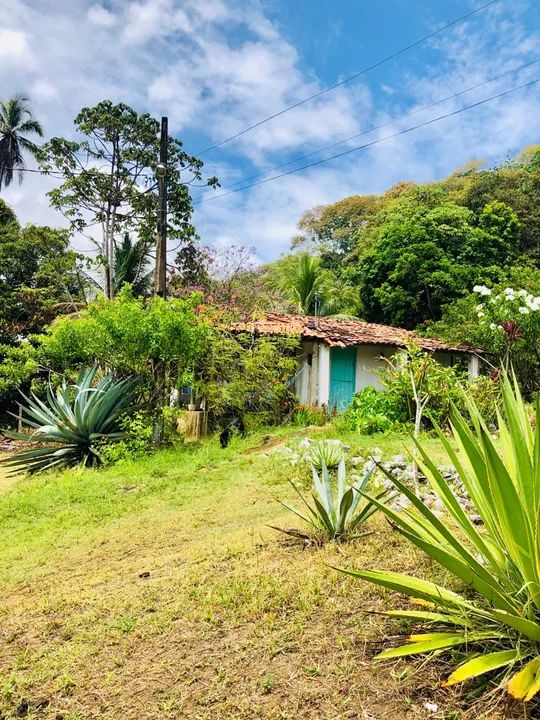 Área com 21.114m² em Milagres vistas ao Mar - Foto 4