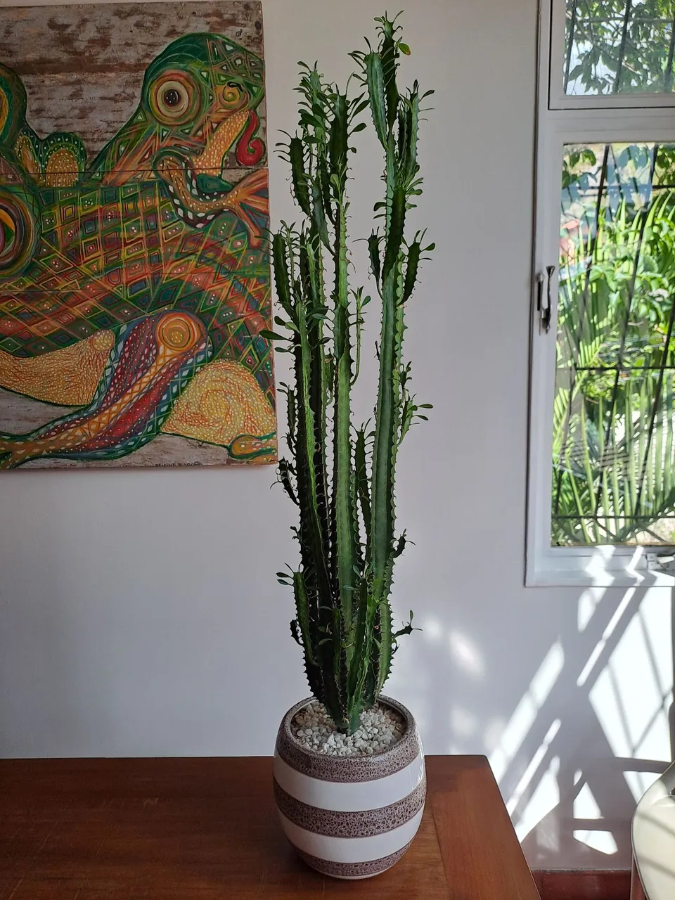 Cacto pequeno em vaso cerâmica