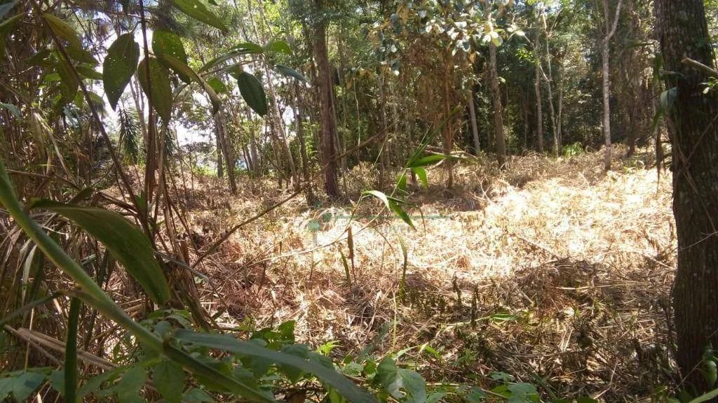 Terreno à venda, 647 m² por R$ 120.000,00 - Fazenda Suiça - Teresópolis/RJ - Foto 4