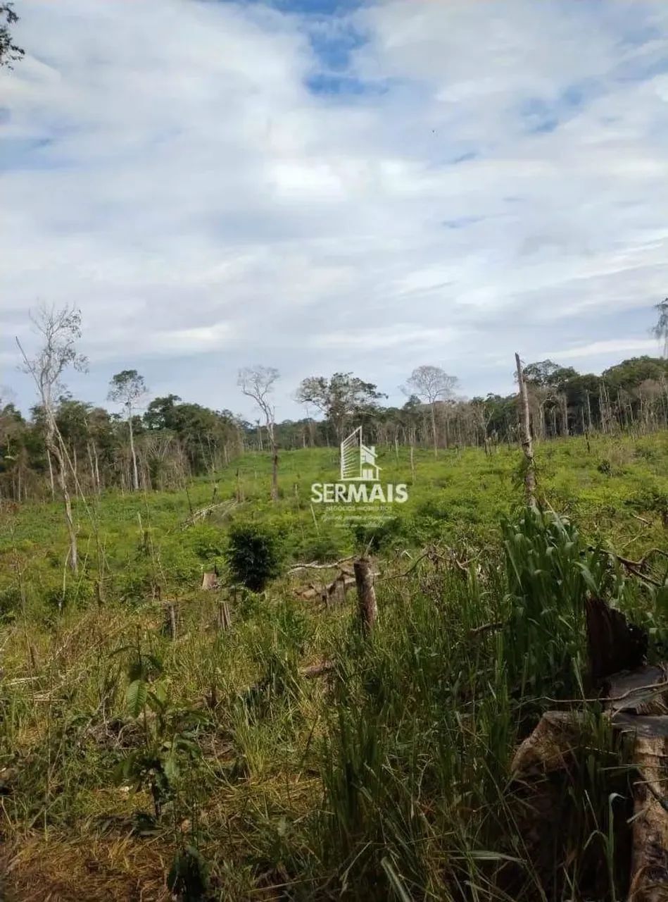 Fazenda Situada no município de Bujari Acre. R$400.000,00 - Foto 4