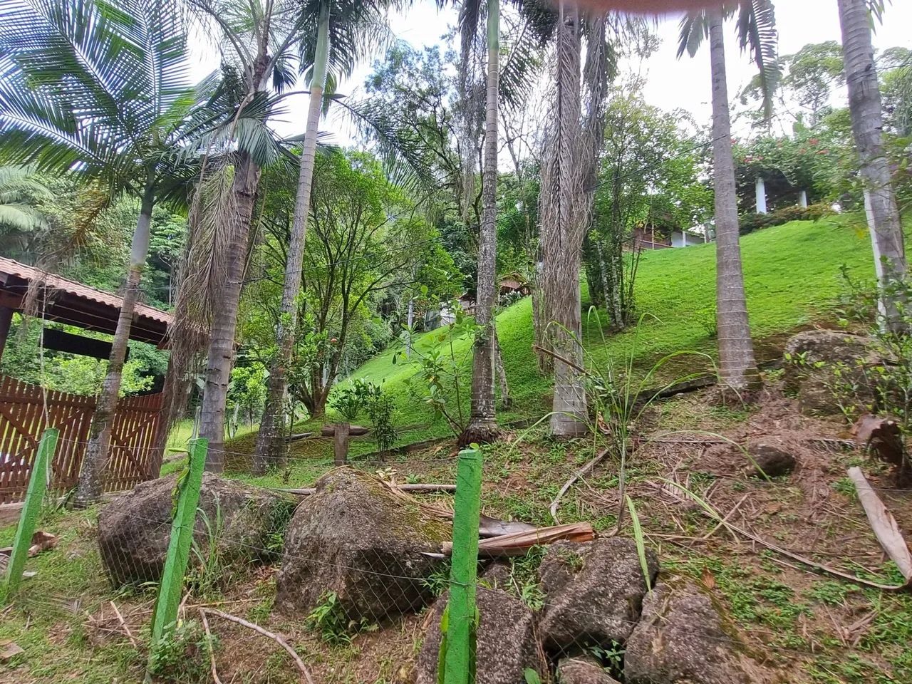 Sítio com 30 mil m² * Ótima localização  - Foto 5