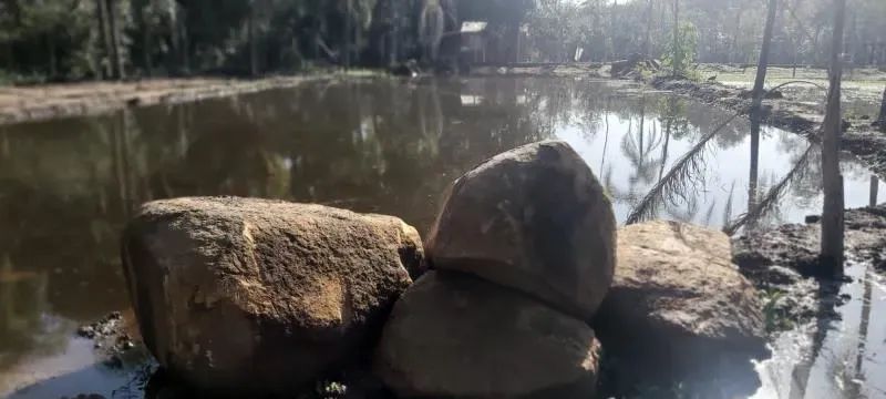 Velleda oferece magnífico sítio com açude próximo ao centro de Viamão - Foto 7