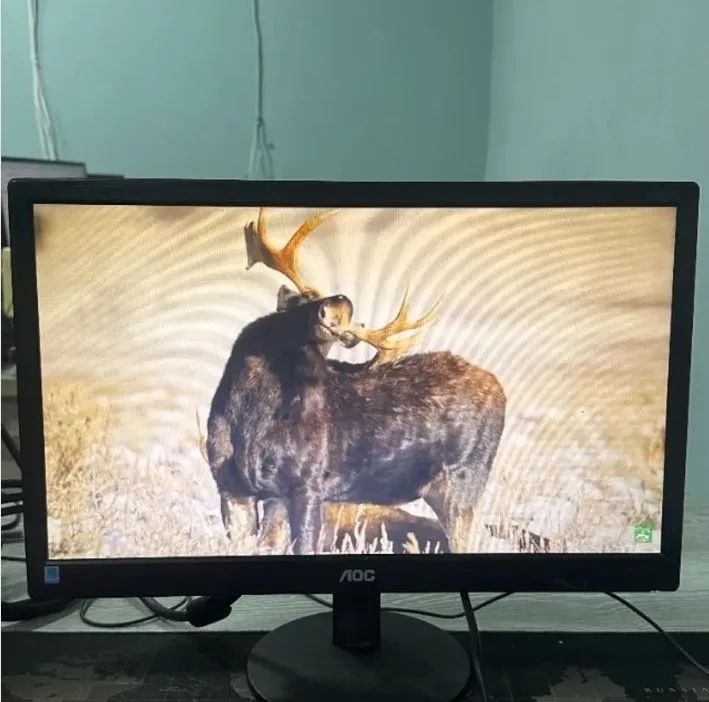 Monitor AOC 18,5 polegadas 1366 x 768