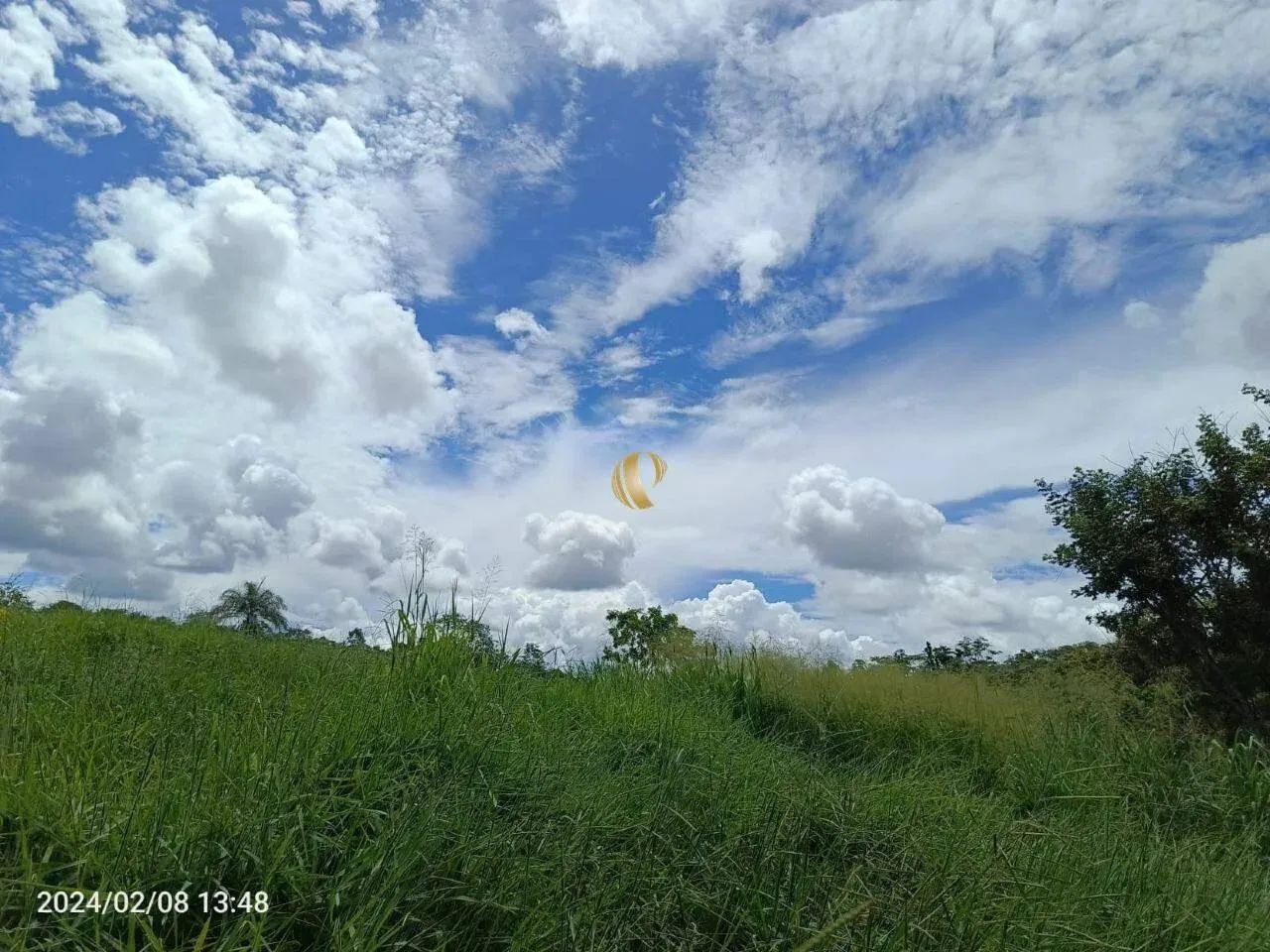 Terreno Wenceslau Braz Venda - Foto 5