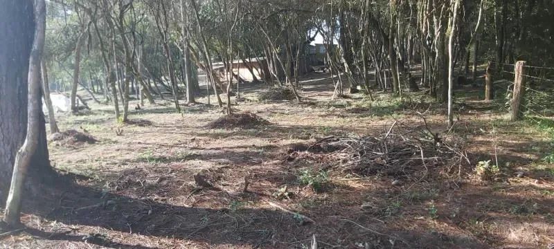 Velleda oferece magnífico sítio com açude próximo ao centro de Viamão - Foto 11