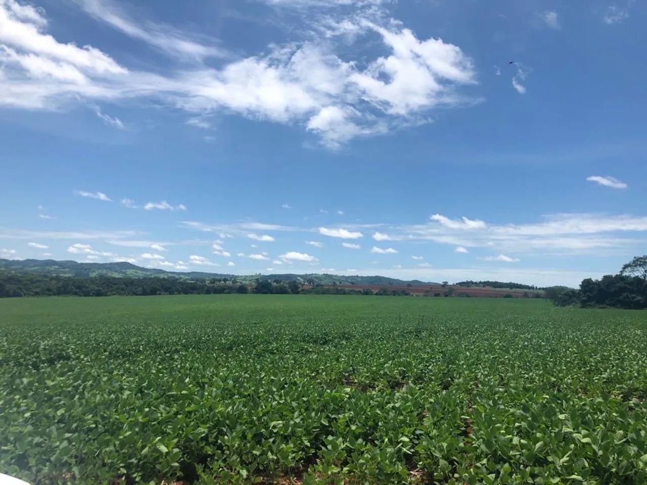 Fazenda em Itaberai - Foto 3