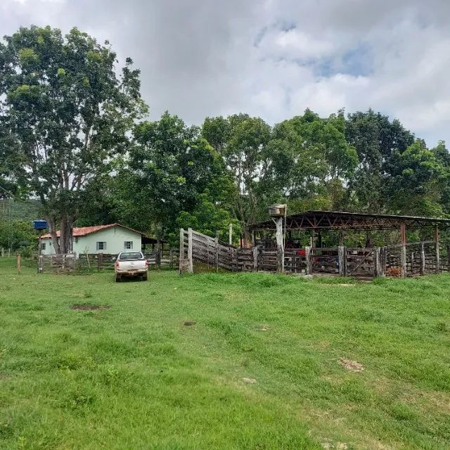 Fazenda 35 Alq | 3 Represas + Córrego | Estruturada | Pronta p/ Produção