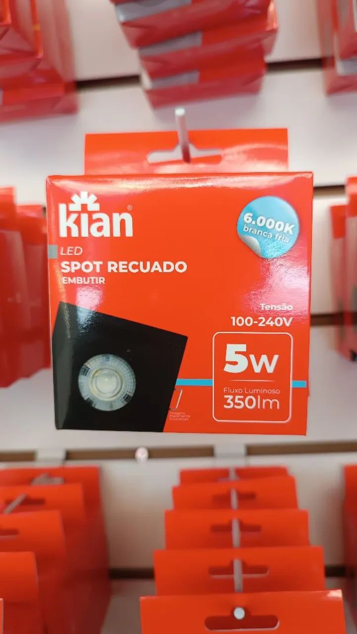 Dcroica recuada  - Foto 2