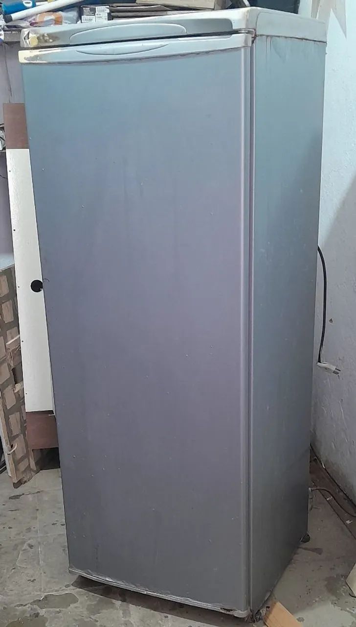 Freezer Electrolux vertical 