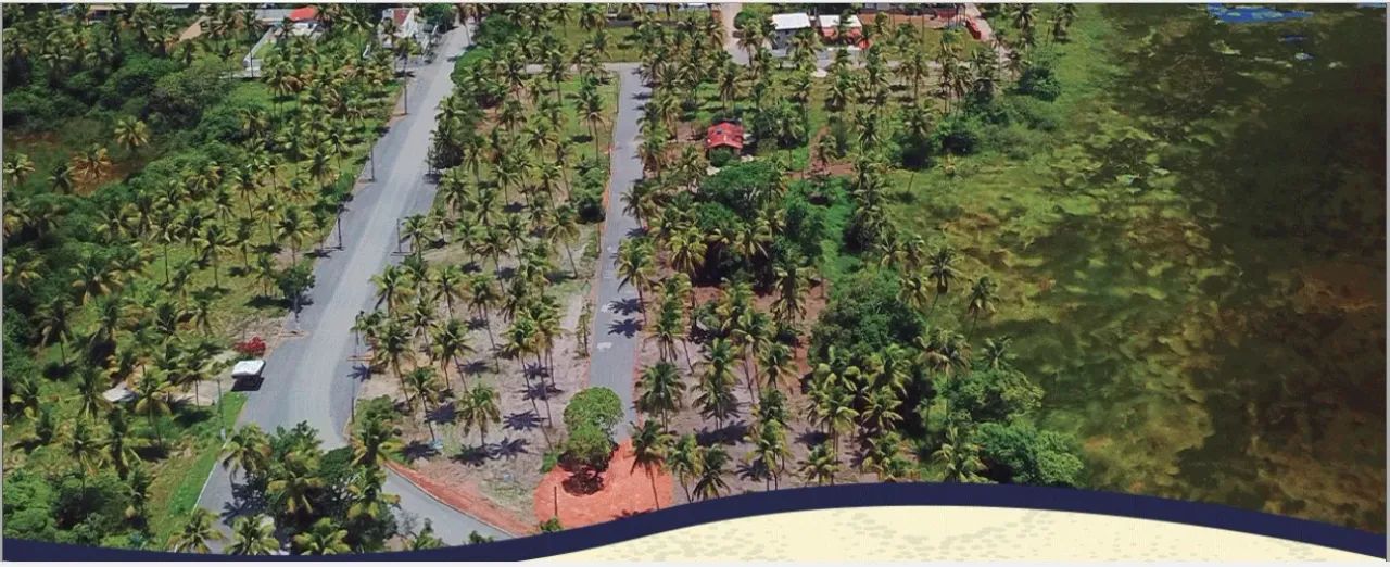 Terrenos em porto de Galinhas ! - Foto 2