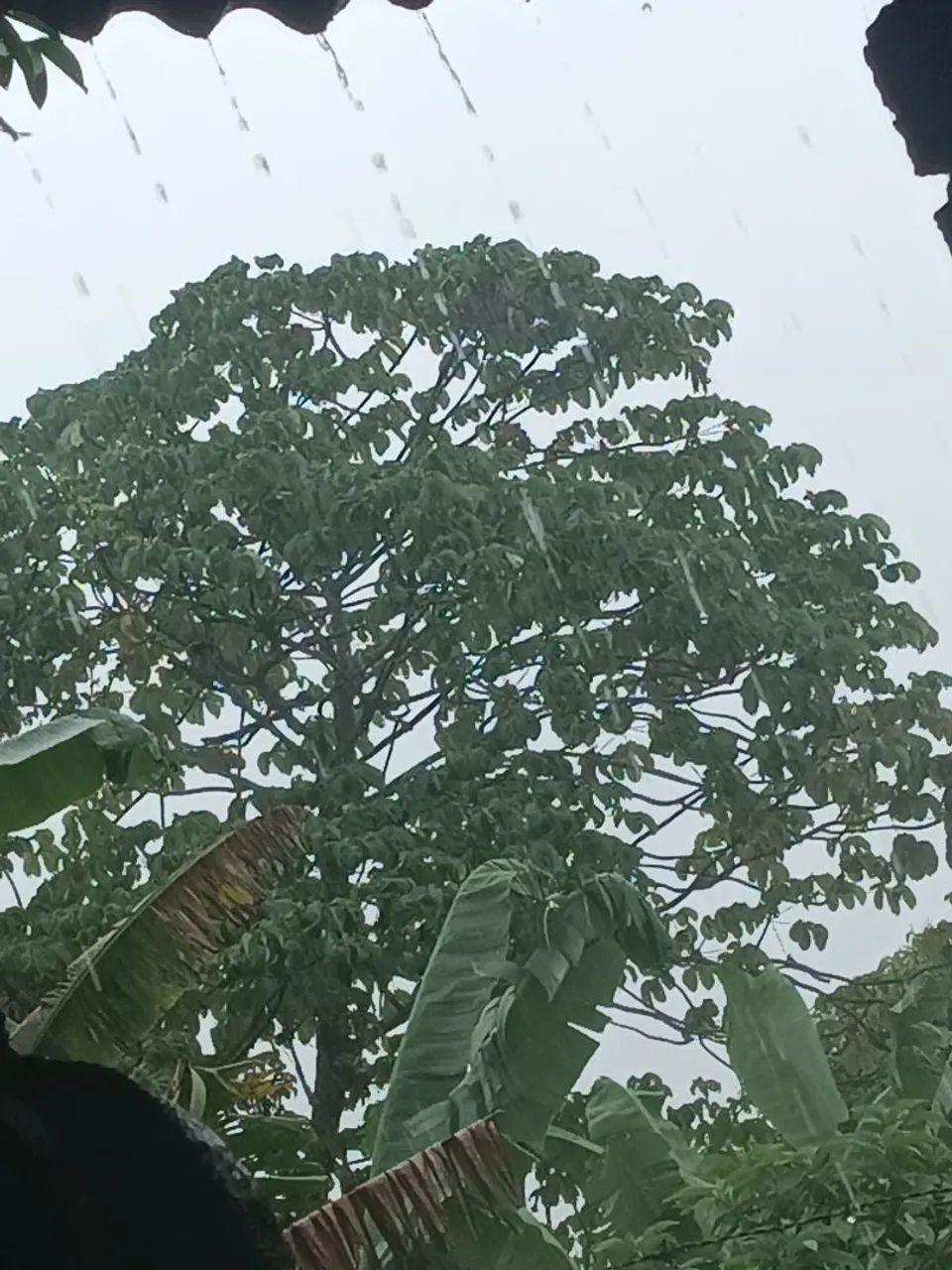 Alguém com terreno pra vender em Mataraca pb