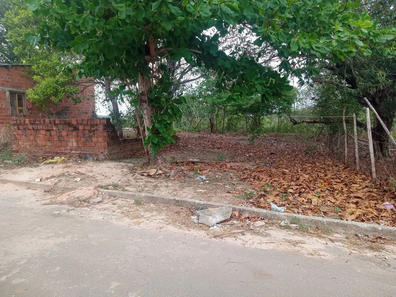 Foto - São Luís - Vila Ayrton Senna