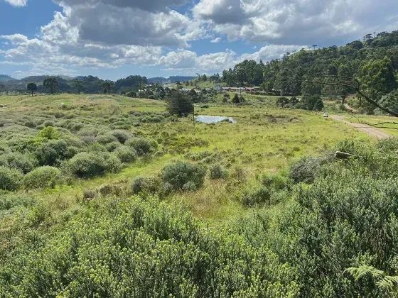 ÁREA DE 2,2 HECTRES À VENDA - Foto 4