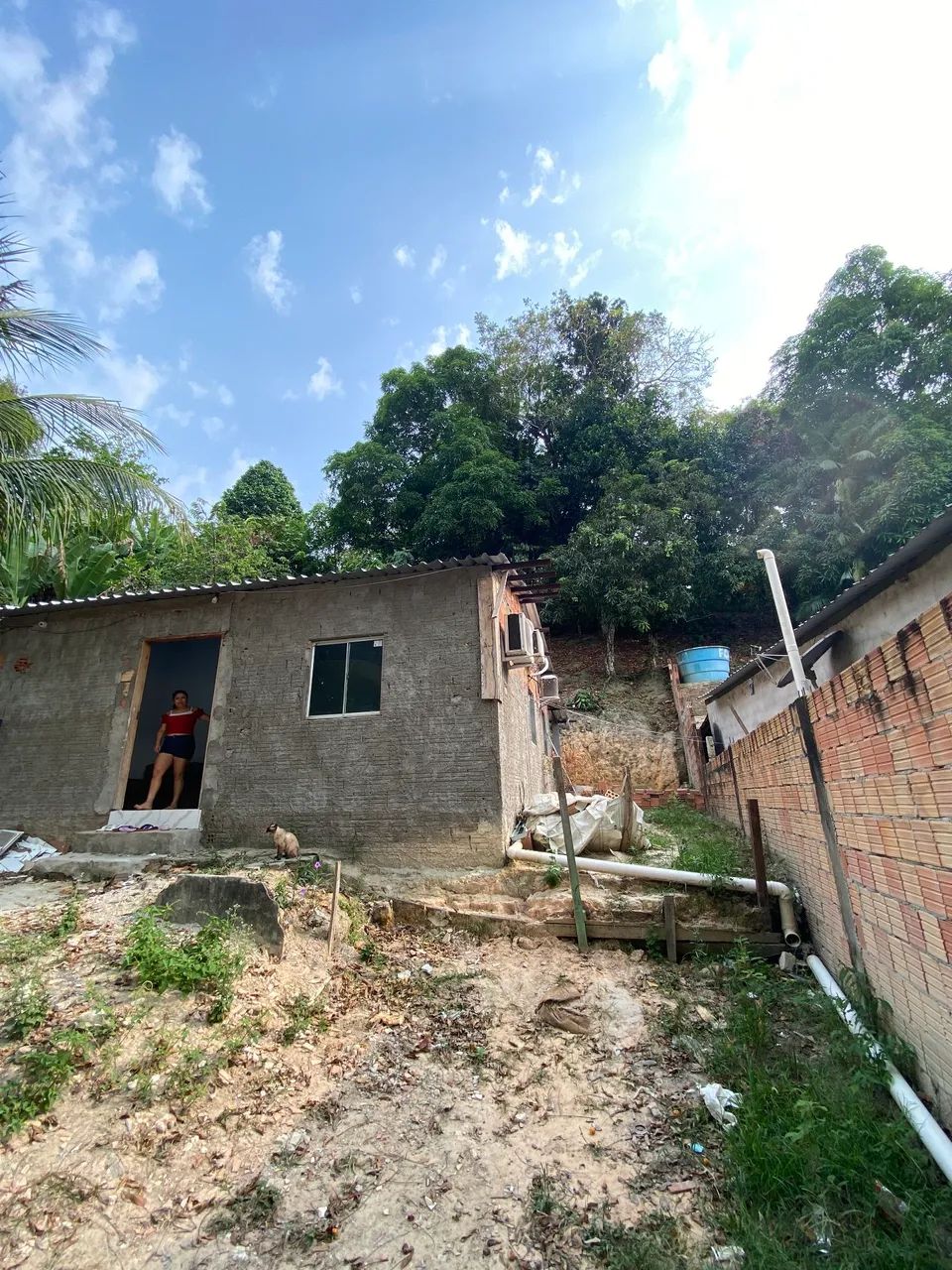 Foto - Manaus - Aleixo