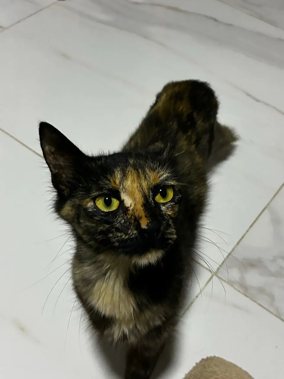 DOAÇAO URGENTE  - Foto 2