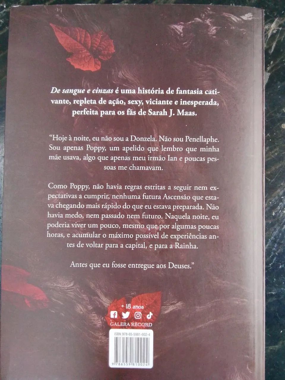 De sangue e cinzas volume 1 - livro dark romance  - Foto 2
