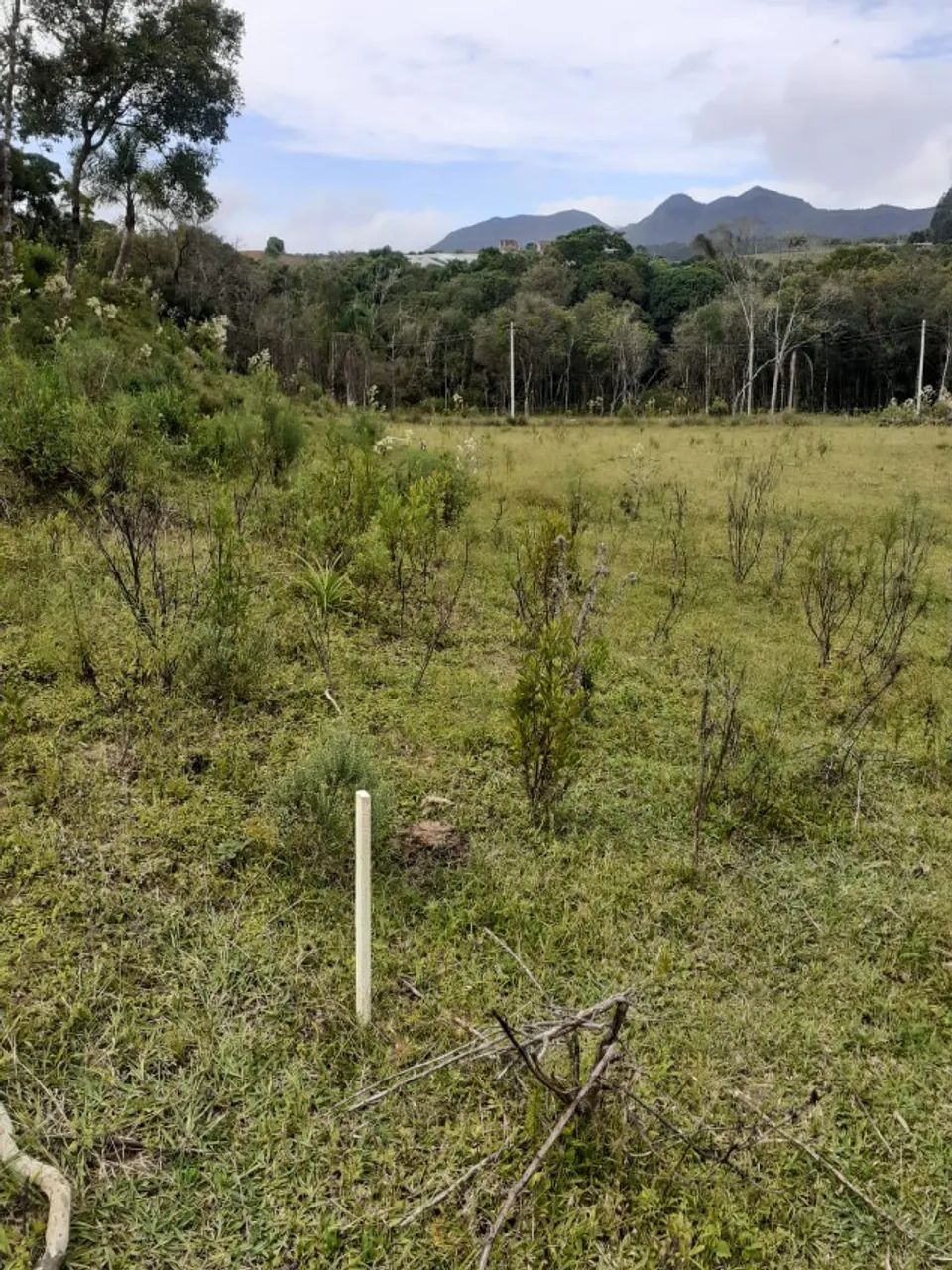 Chácara Roça Velha SJP 3560² Metros  - Foto 3