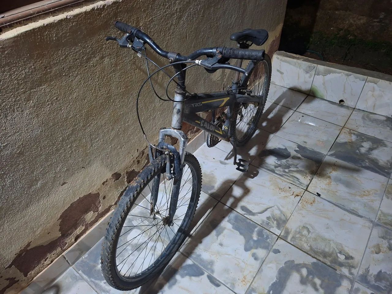 Bicicleta Adulto